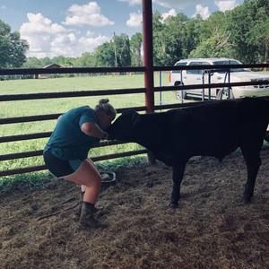 Meet your Posher, Alexis